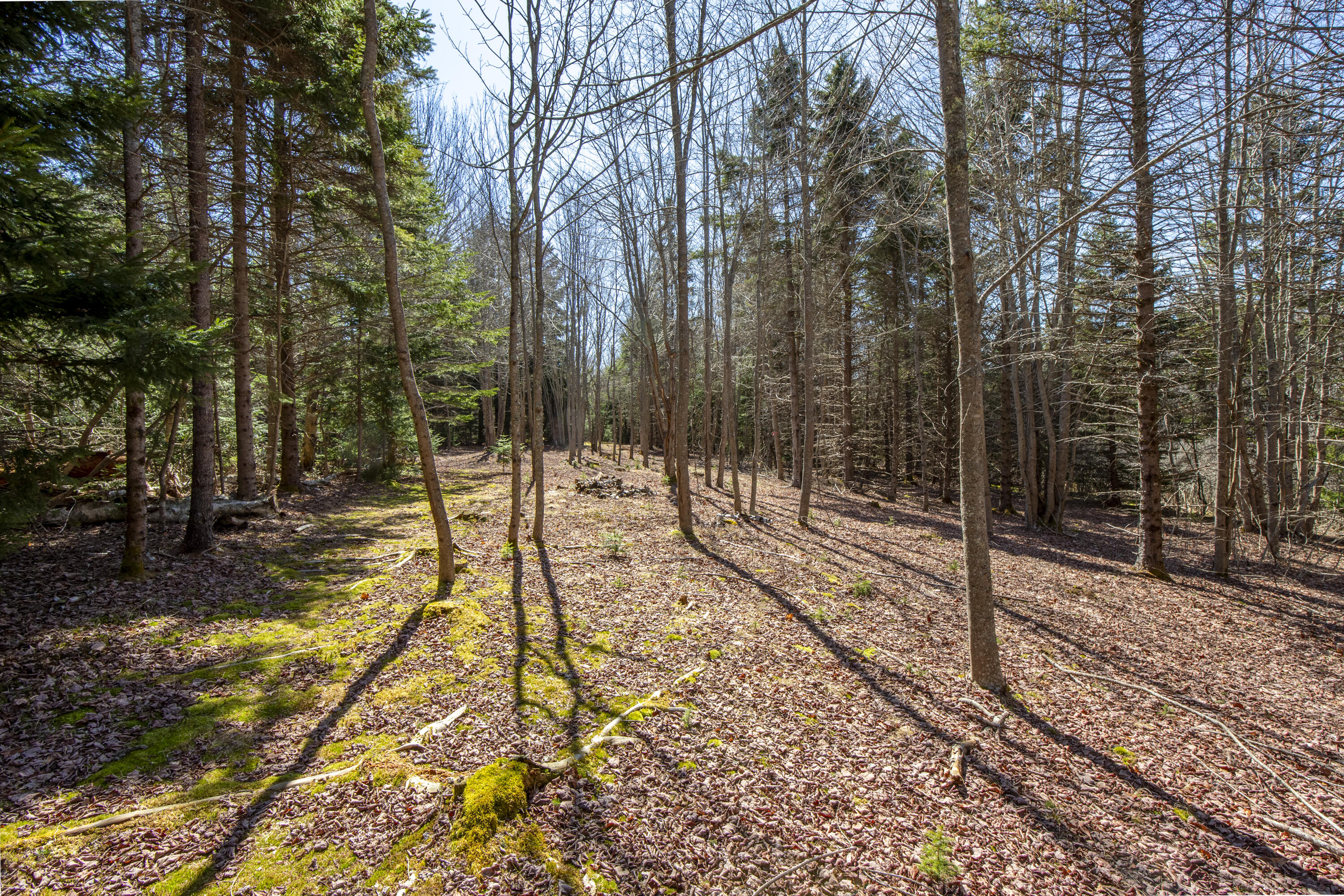 Lot C Lang Road Saint George ME 04860