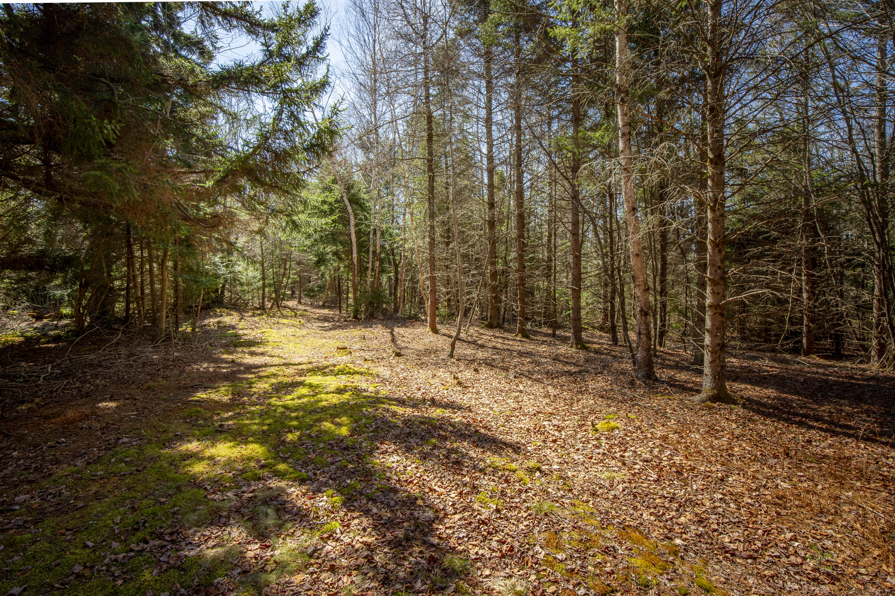 Lot C Lang Road Saint George ME 04860