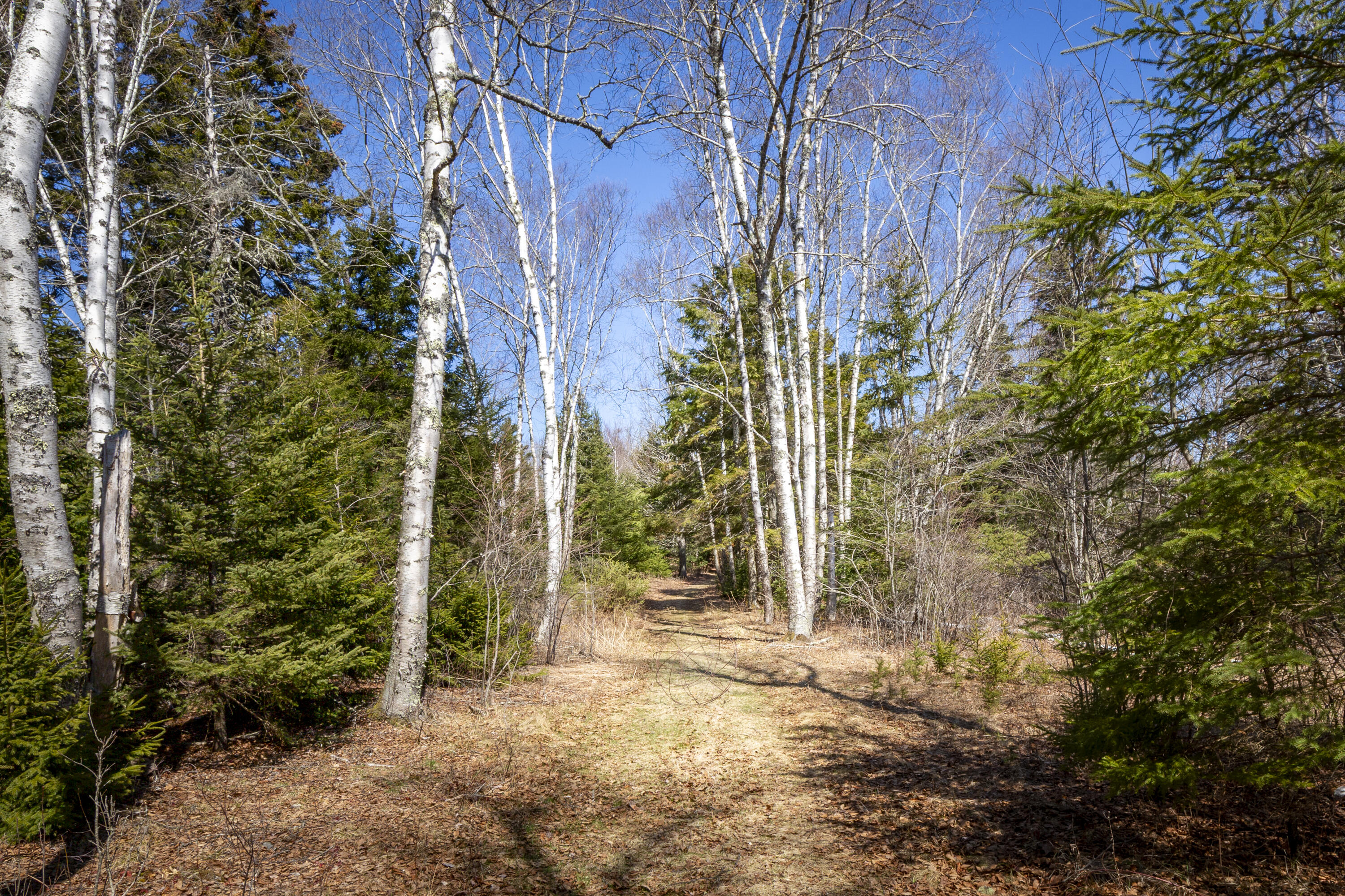 Lot C Lang Road Saint George ME 04860