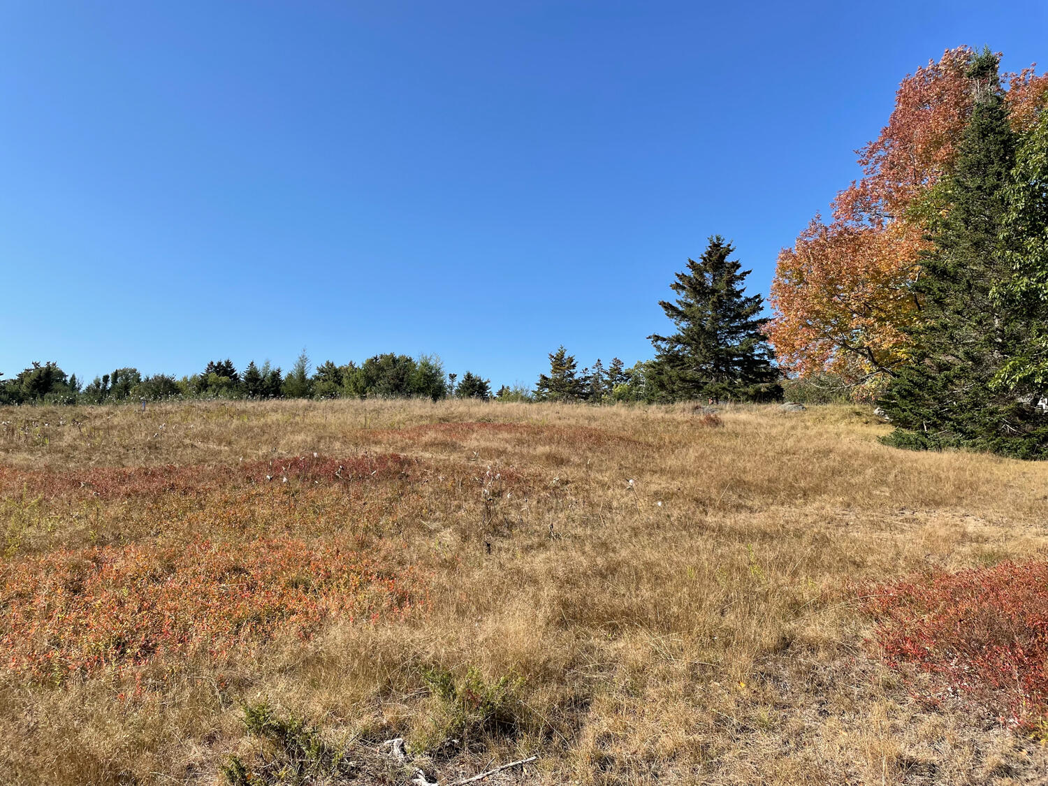 0 Country Way Bar Harbor ME 04609