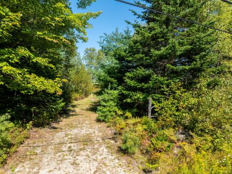 `Map 4, Lot 17, Northfield Road Marshfield ME 04654