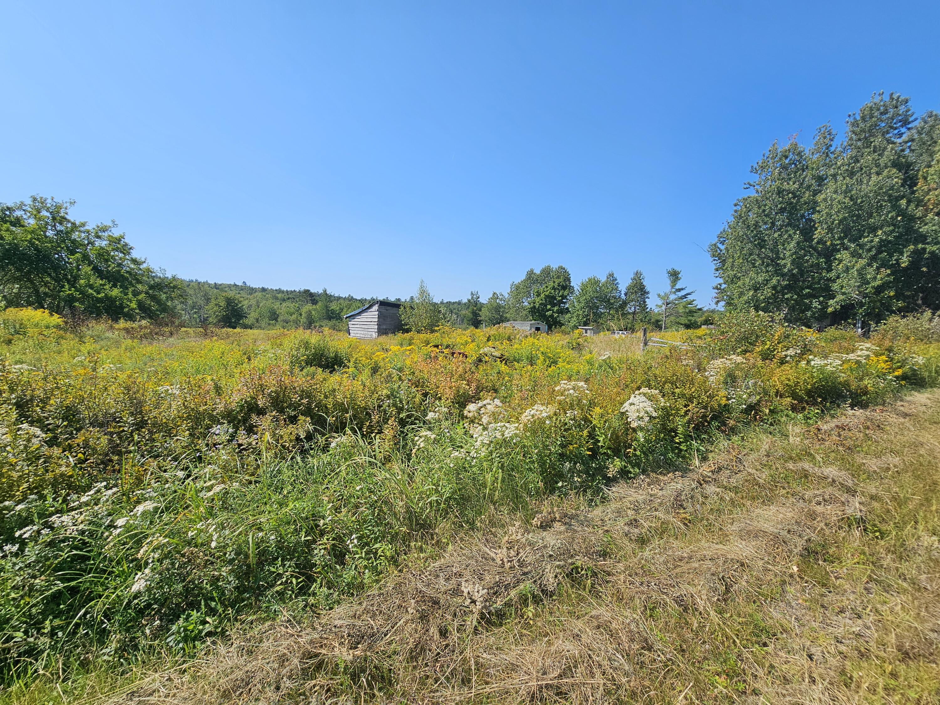 `Map 4, Lot 17, Northfield Road Marshfield ME 04654