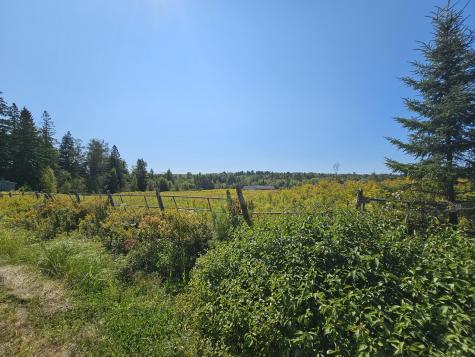 `Map 4, Lot 17, Northfield Road Marshfield ME 04654