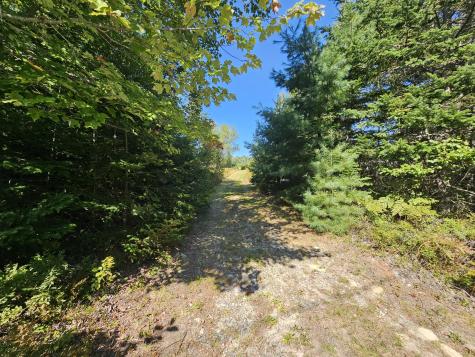 `Map 4, Lot 17, Northfield Road Marshfield ME 04654