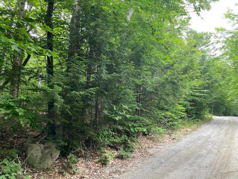 Lot 29 Scammon Road Greenville ME 04441