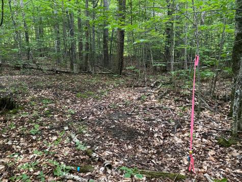 Lot 29 Scammon Road Greenville ME 04441