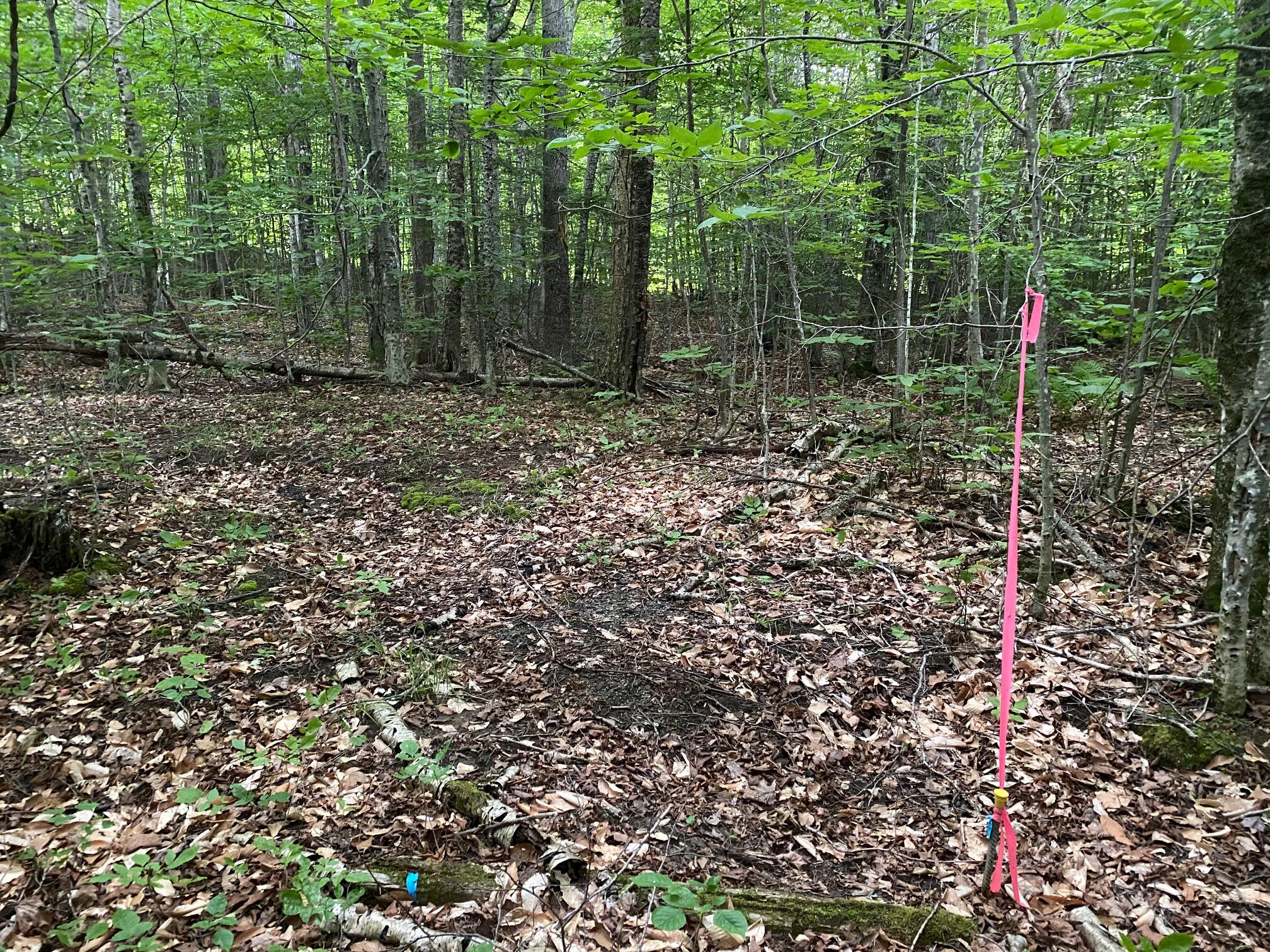 Lot 29 Scammon Road Greenville ME 04441