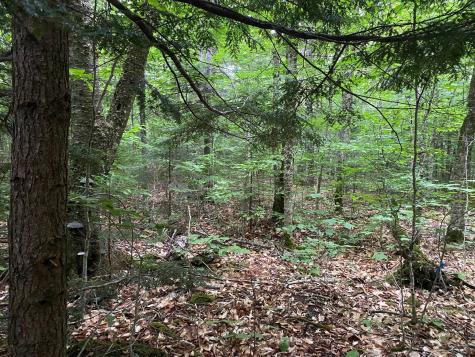 Lot 29 Scammon Road Greenville ME 04441