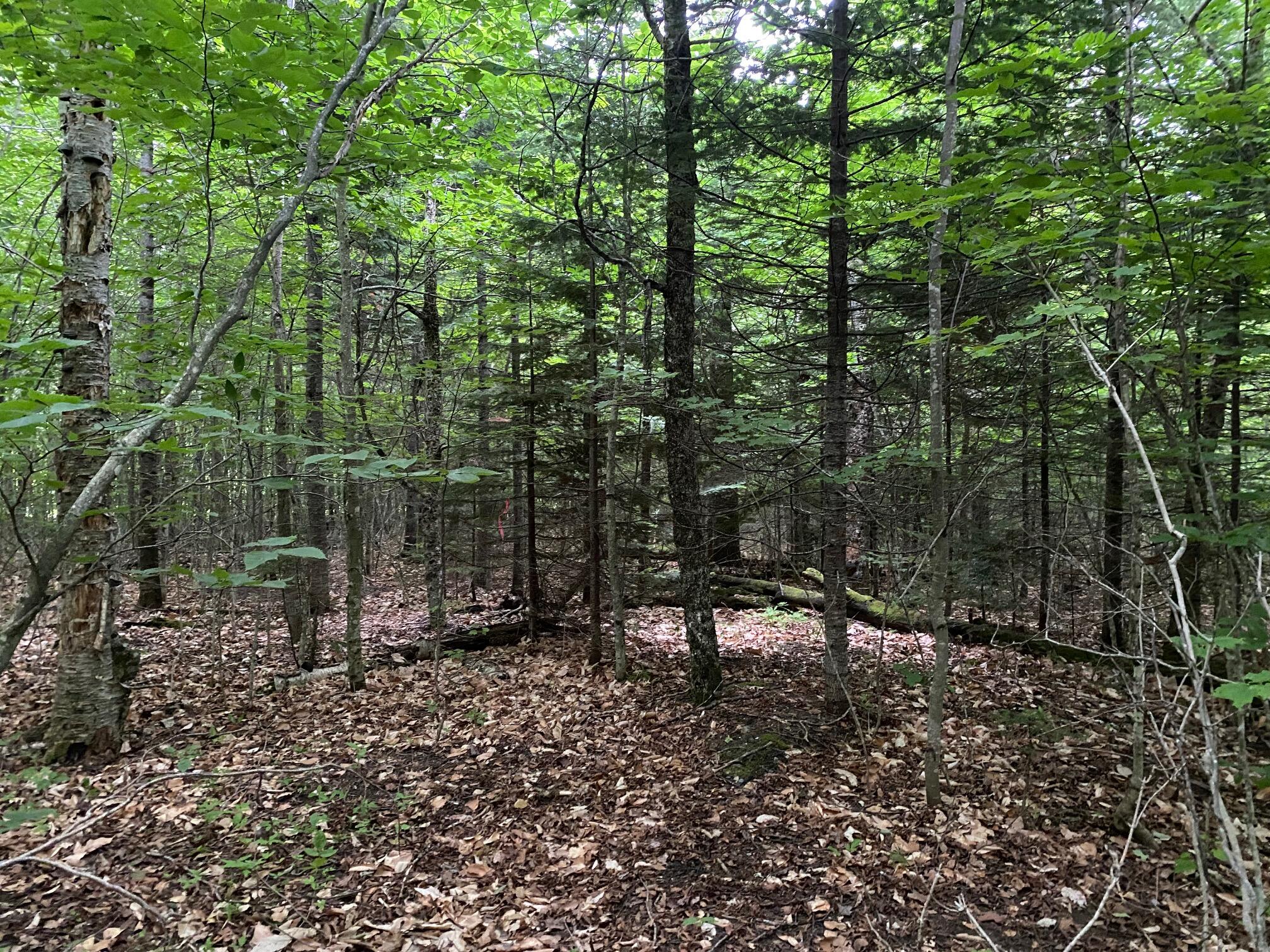 Lot 29 Scammon Road Greenville ME 04441