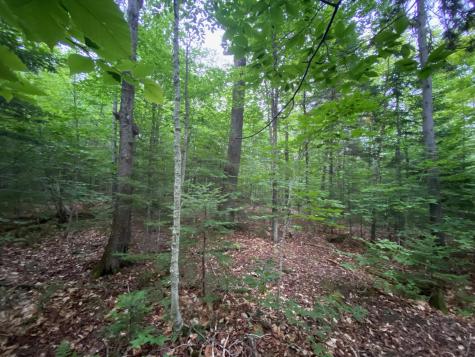 Lot 29 Scammon Road Greenville ME 04441
