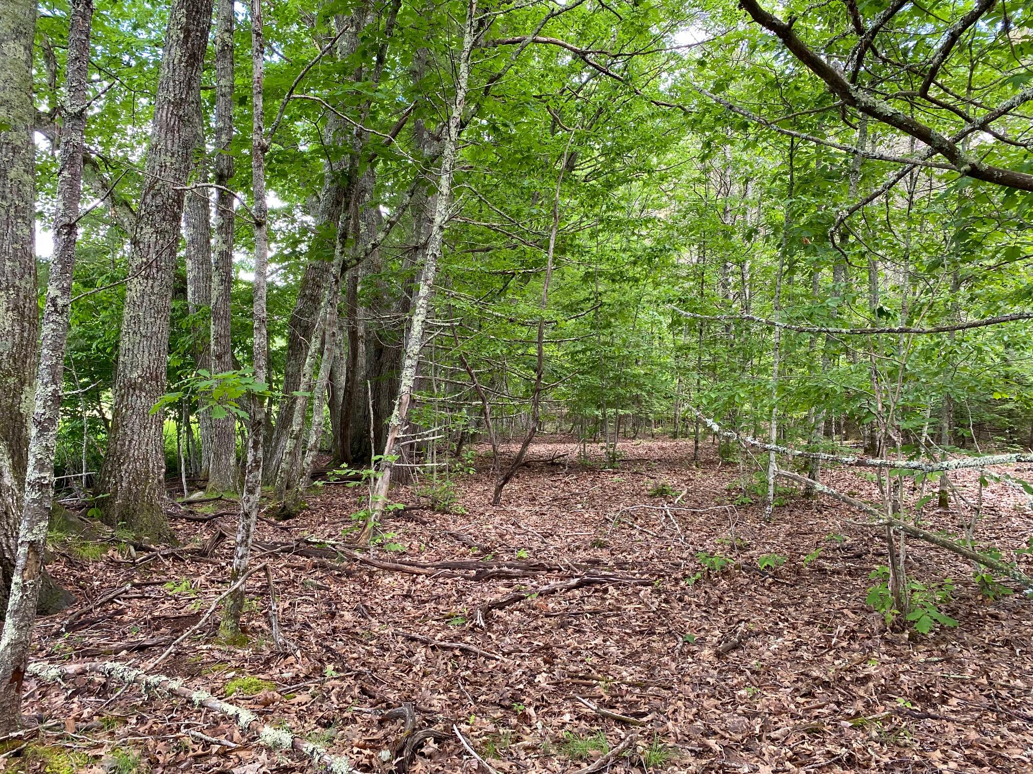 34-ACRES Deering Drive Gorham ME 04038