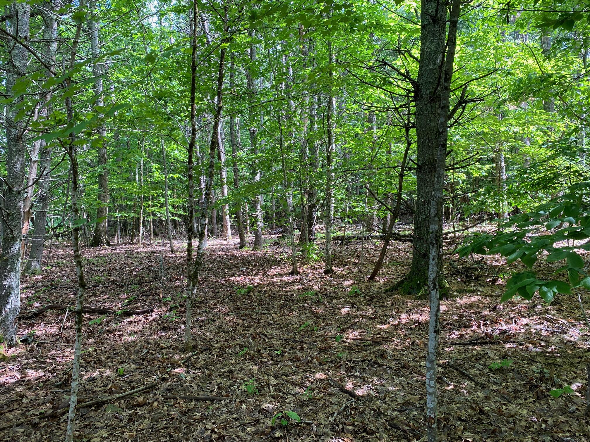 34-ACRES Deering Drive Gorham ME 04038