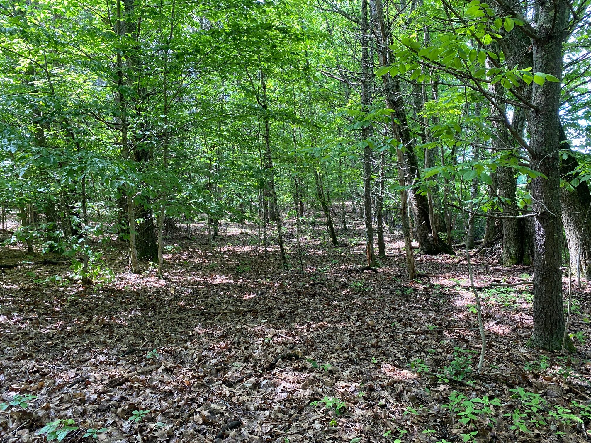 34-ACRES Deering Drive Gorham ME 04038