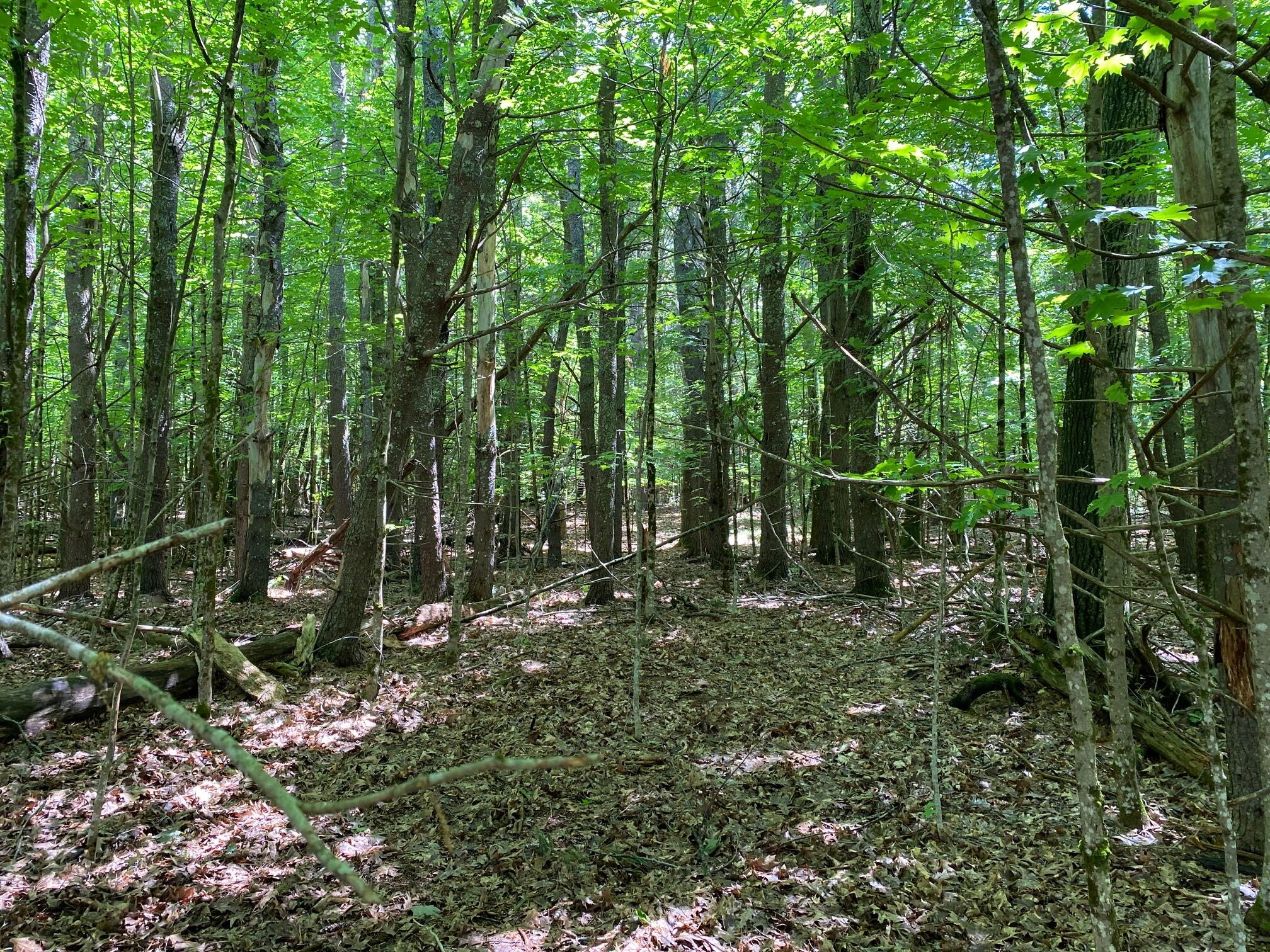 34-ACRES Deering Drive Gorham ME 04038
