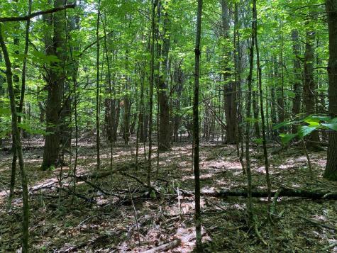 34-ACRES Deering Drive Gorham ME 04038