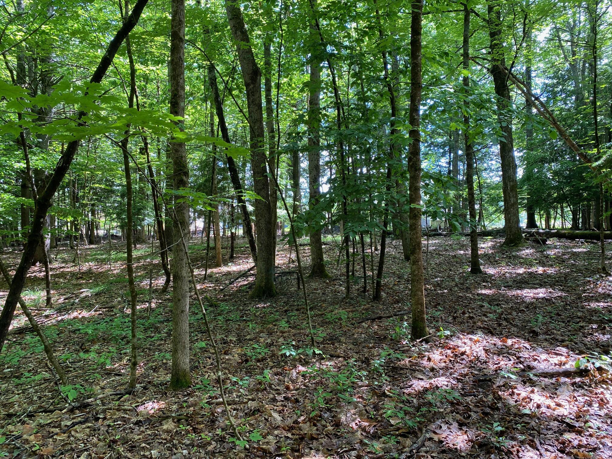 34-ACRES Deering Drive Gorham ME 04038
