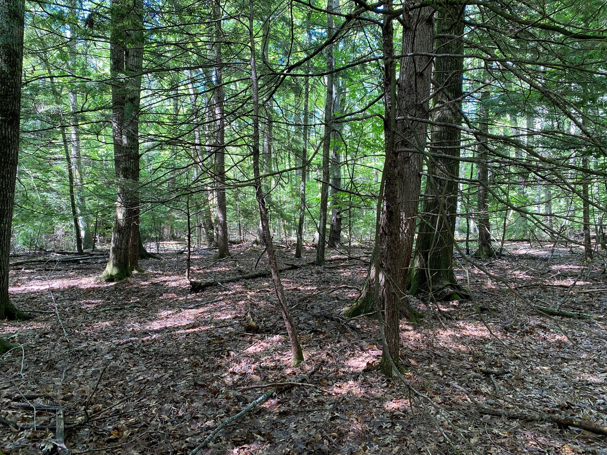 34-ACRES Deering Drive Gorham ME 04038