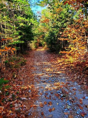 0 Sandy Beach Road Beddington ME 04622