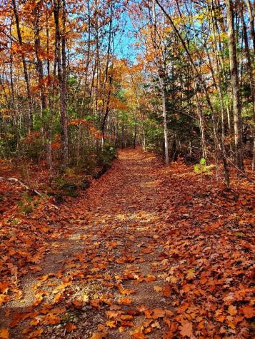 0 Sandy Beach Road Beddington ME 04622