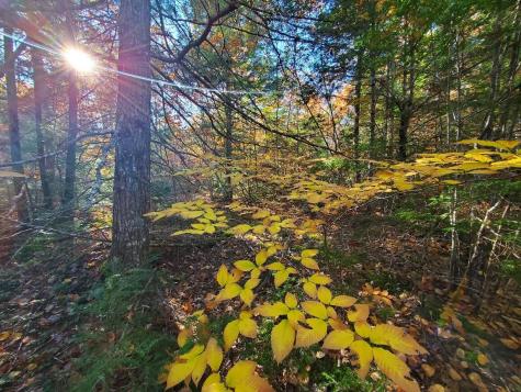 0 Sandy Beach Road Beddington ME 04622