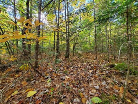 0 Sandy Beach Road Beddington ME 04622