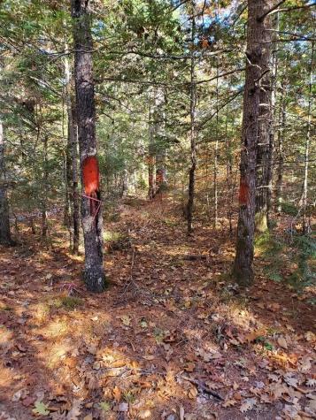 0 Sandy Beach Road Beddington ME 04622