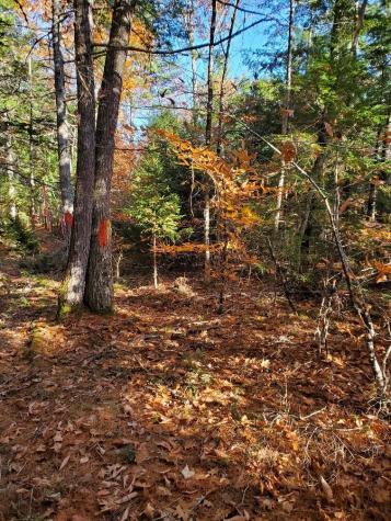 0 Sandy Beach Road Beddington ME 04622