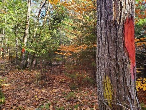 0 Sandy Beach Road Beddington ME 04622