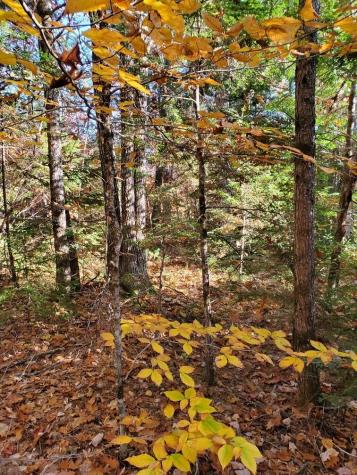 0 Sandy Beach Road Beddington ME 04622