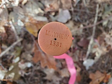 0 Sandy Beach Road Beddington ME 04622