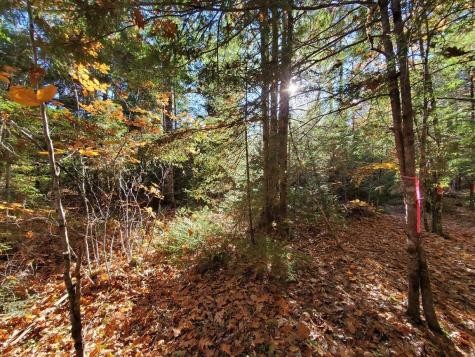 0 Sandy Beach Road Beddington ME 04622