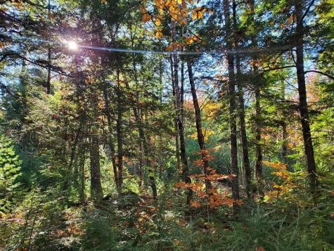 0 Sandy Beach Road Beddington ME 04622