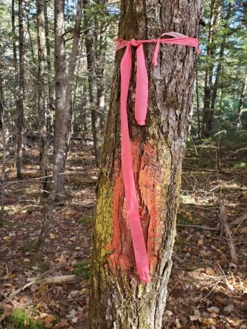 0 Sandy Beach Road Beddington ME 04622