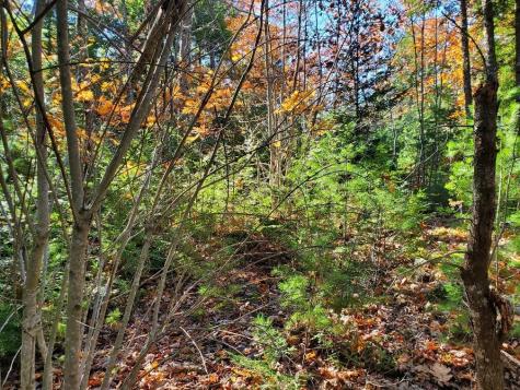 0 Sandy Beach Road Beddington ME 04622