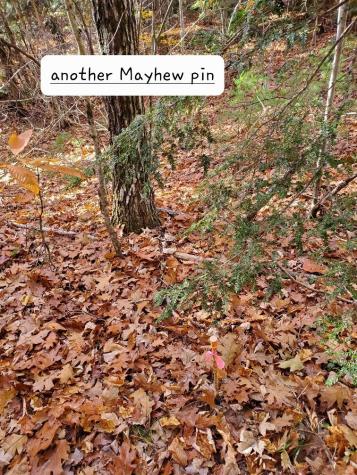 0 Sandy Beach Road Beddington ME 04622