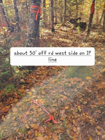 0 Sandy Beach Road Beddington ME 04622