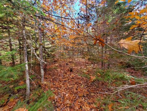 0 Sandy Beach Road Beddington ME 04622