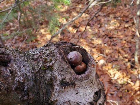 0 Sandy Beach Road Beddington ME 04622