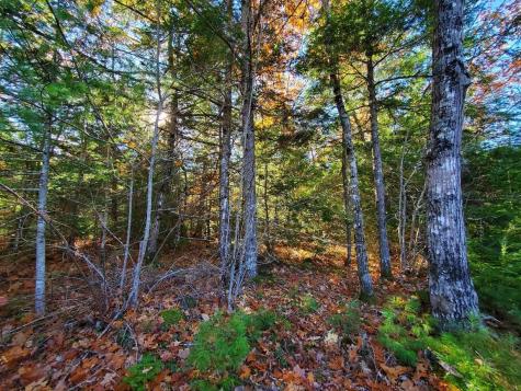 0 Sandy Beach Road Beddington ME 04622