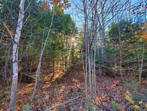 0 Sandy Beach Road Beddington ME 04622