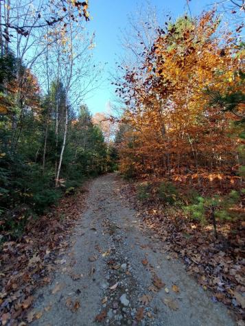 0 Sandy Beach Road Beddington ME 04622