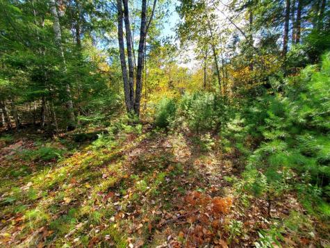 0 Sandy Beach Road Beddington ME 04622