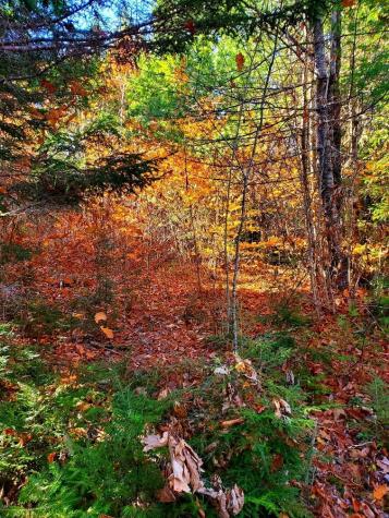 0 Sandy Beach Road Beddington ME 04622