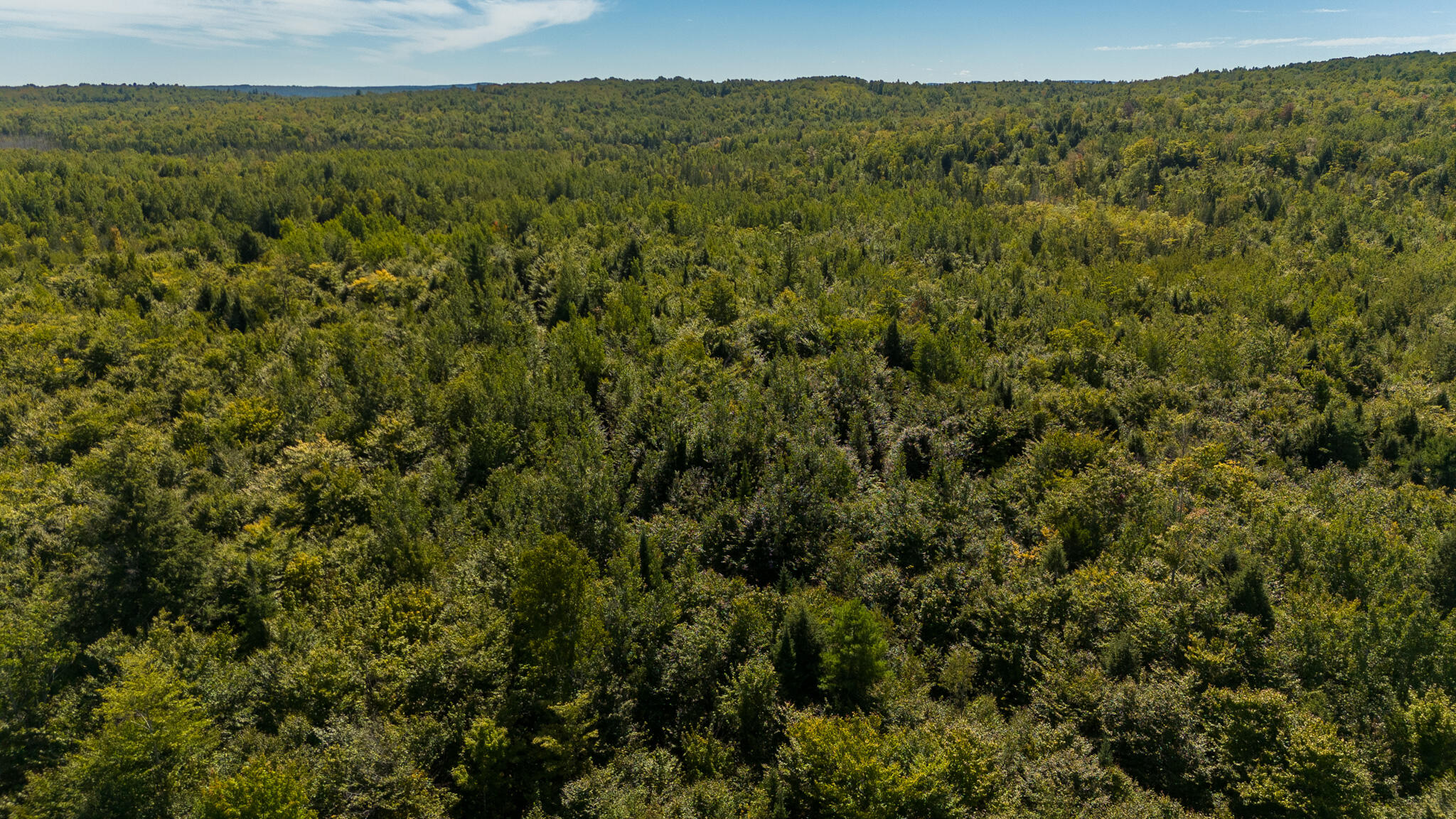 L4-M7 Off Of Carver Road Milo ME 04463