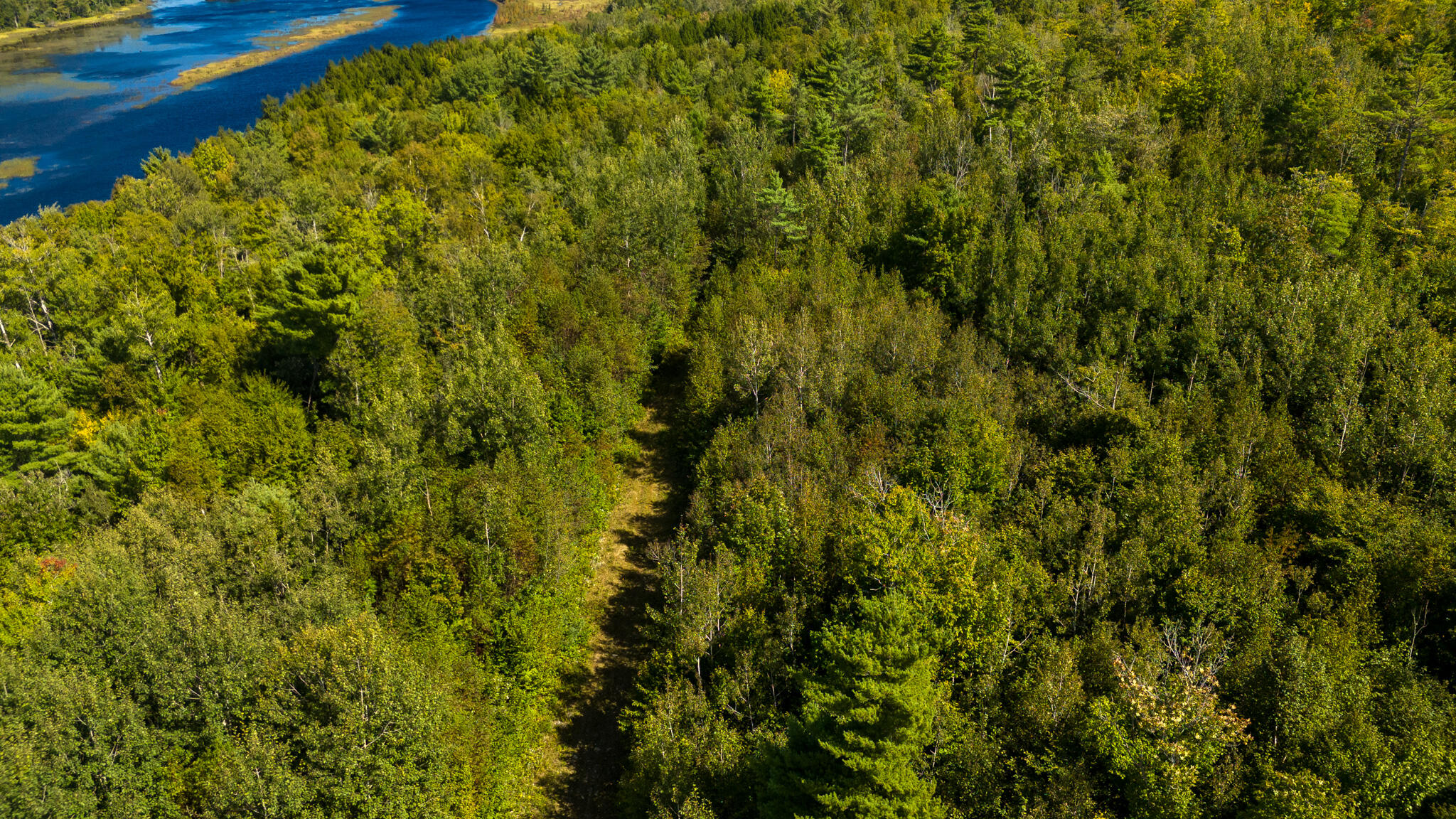 L4-M7 Off Of Carver Road Milo ME 04463