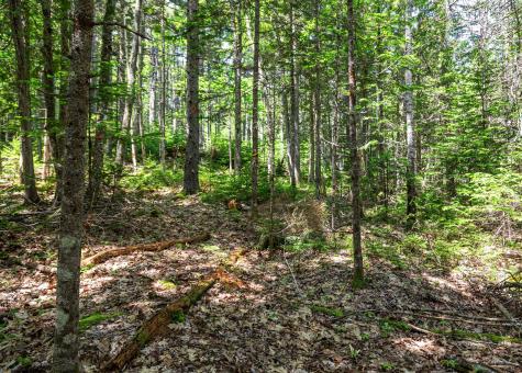 Lot 3 Belle Grande Drive Bar Harbor ME 04609