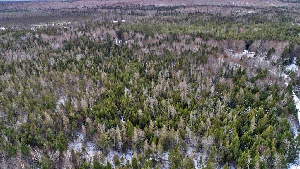 Lot 57 Fire Road Linneus ME 04730
