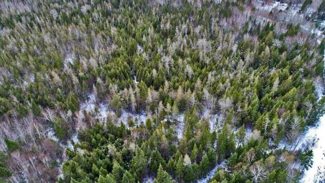 Lot 57 Fire Road Linneus ME 04730