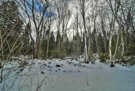 Lot 57 Fire Road Linneus ME 04730