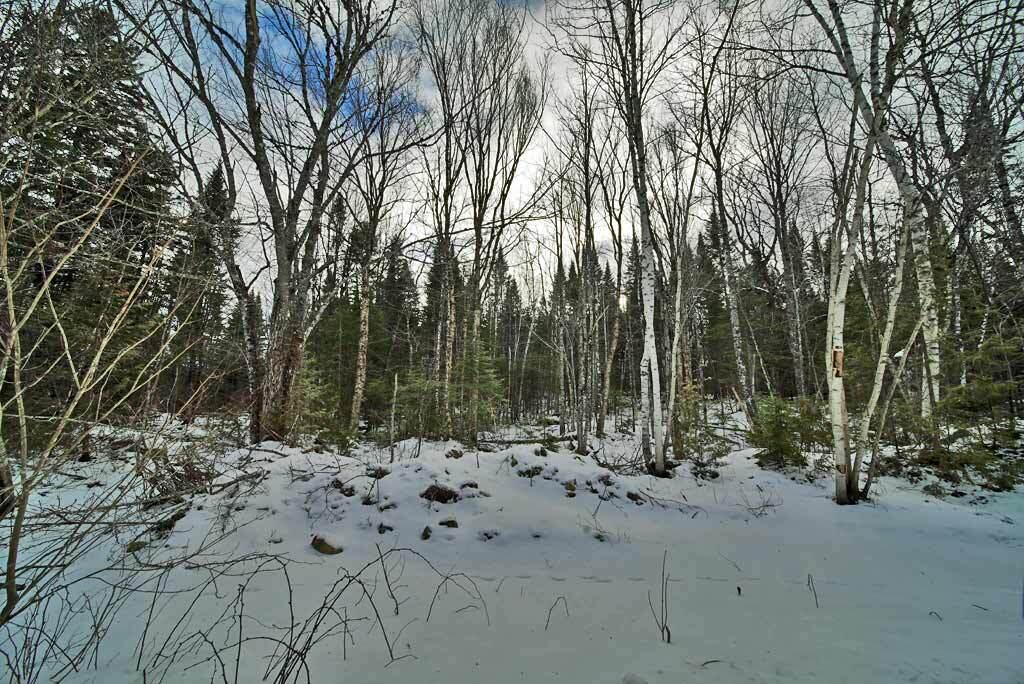 Lot 57 Fire Road Linneus ME 04730